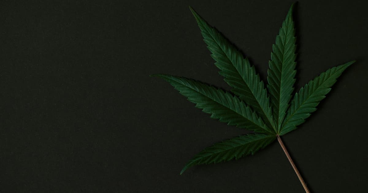 MWG Holdings Completes Retail Remodel, Driving Significant Revenue Growth Through Customer-Centric Approach