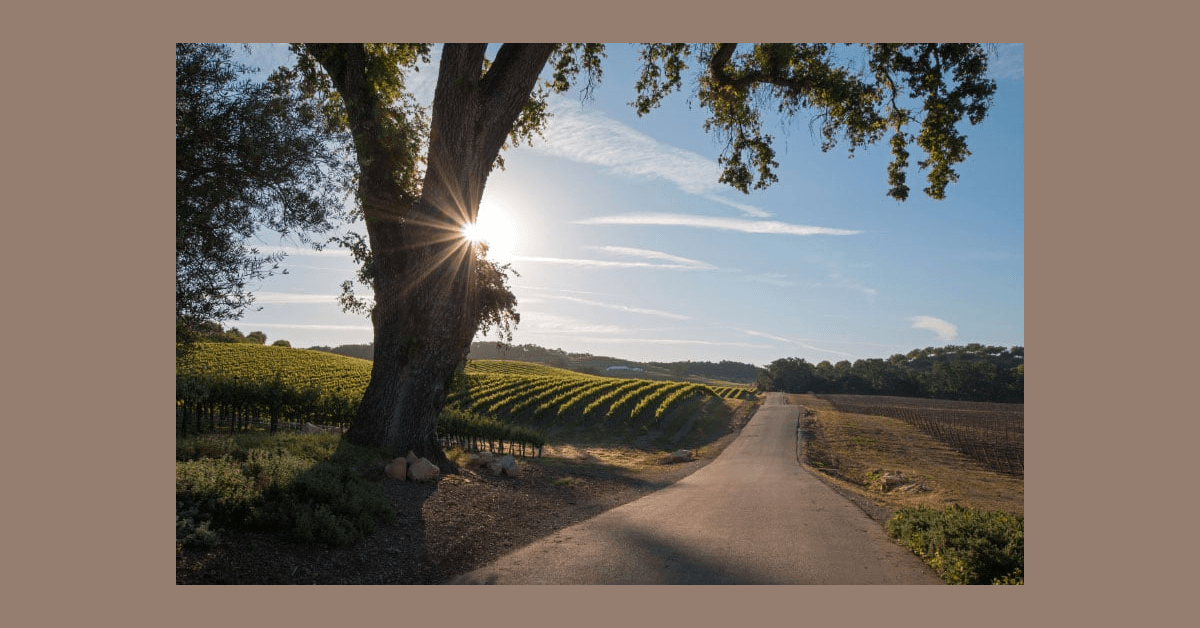 Attorney Andrew Conway Recognized as 2025 Super Lawyers Rising Star Following Significant Family Law Case Victories