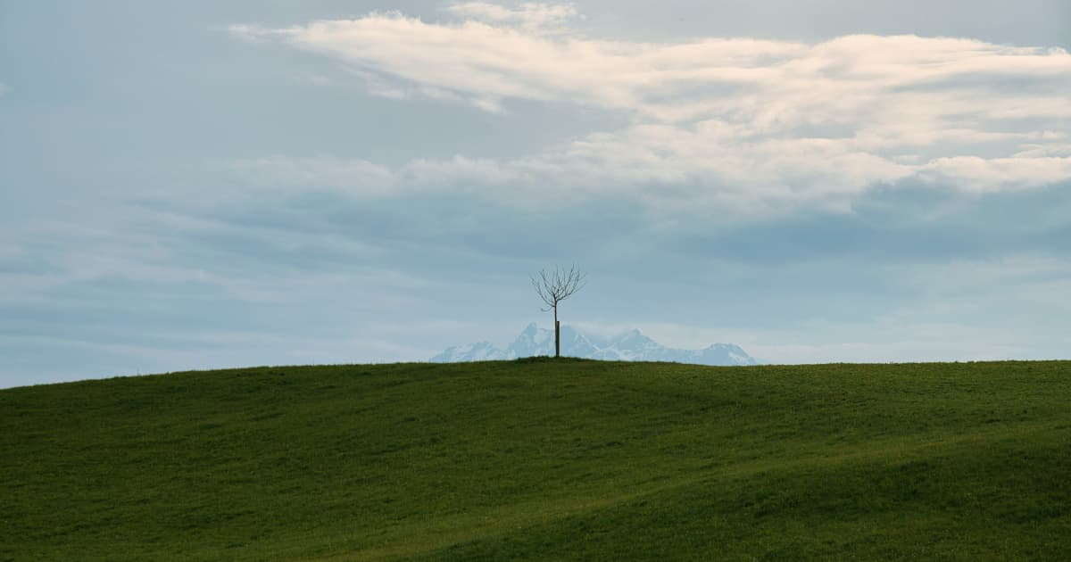 Sustain SoCal Hosts 10th Annual Water Solutions Forum to Address Critical Regional Challenges
